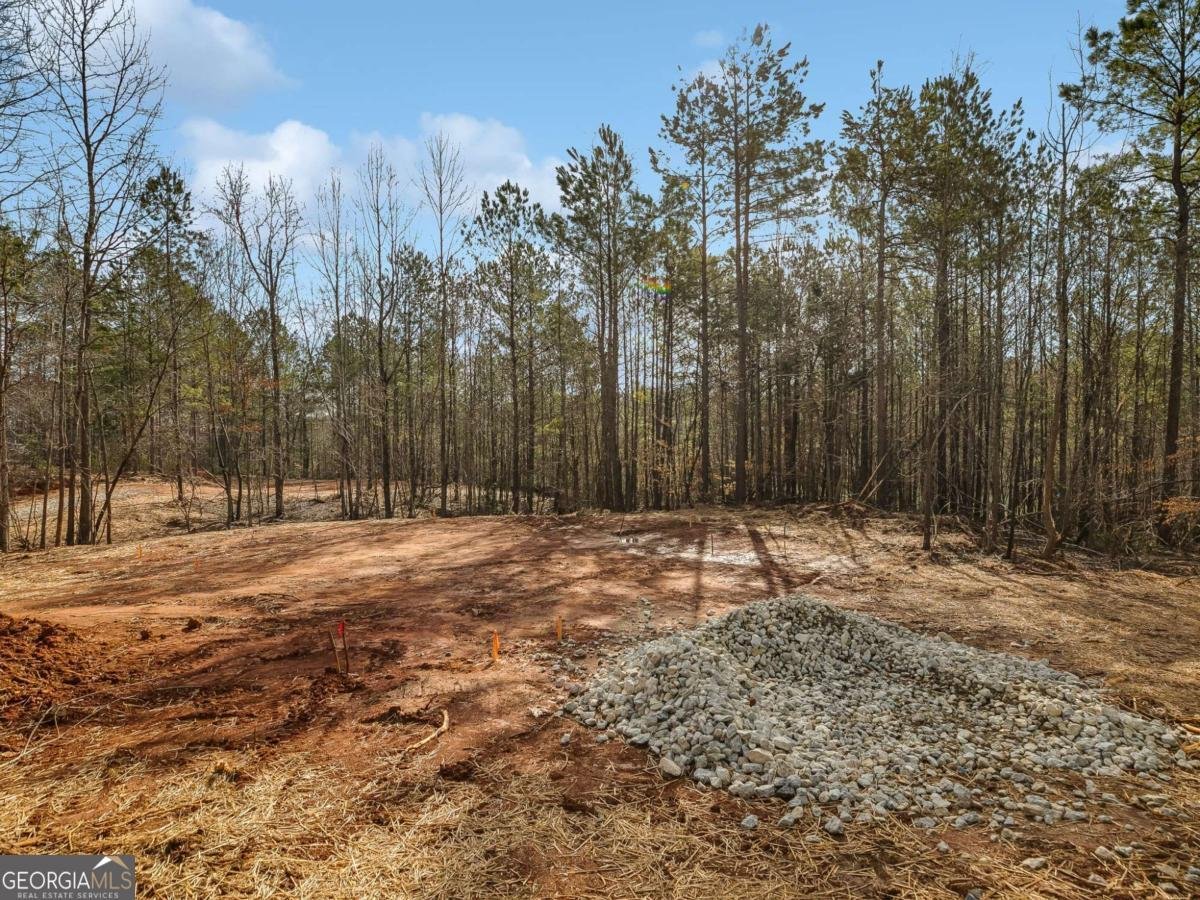 TRACTB Clover Path Dallas - 54