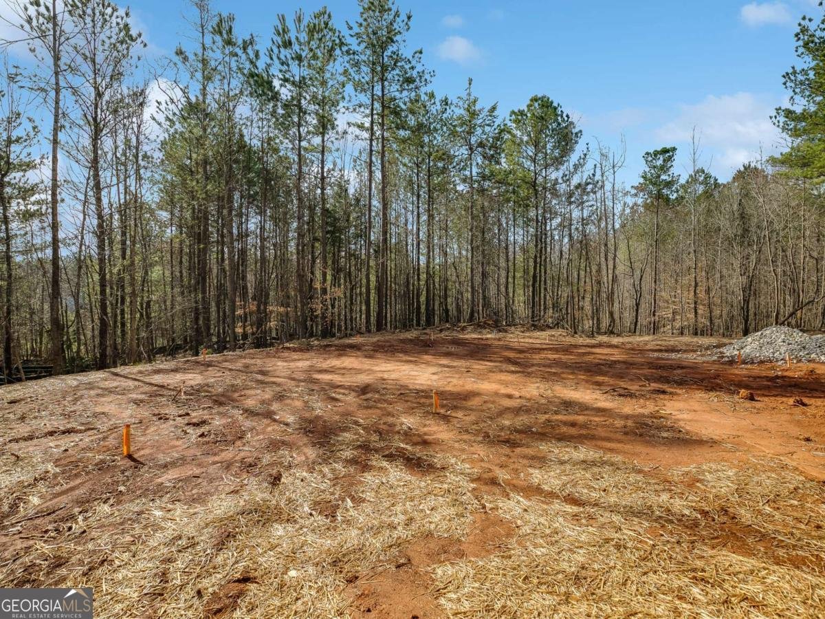 TRACTB Clover Path Dallas - 55