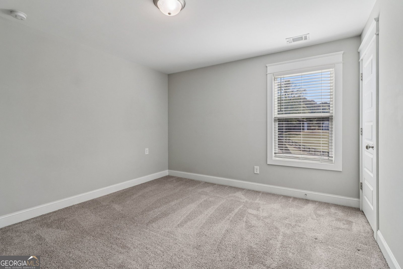 2519 Hog Liver Road Carrollton - 49