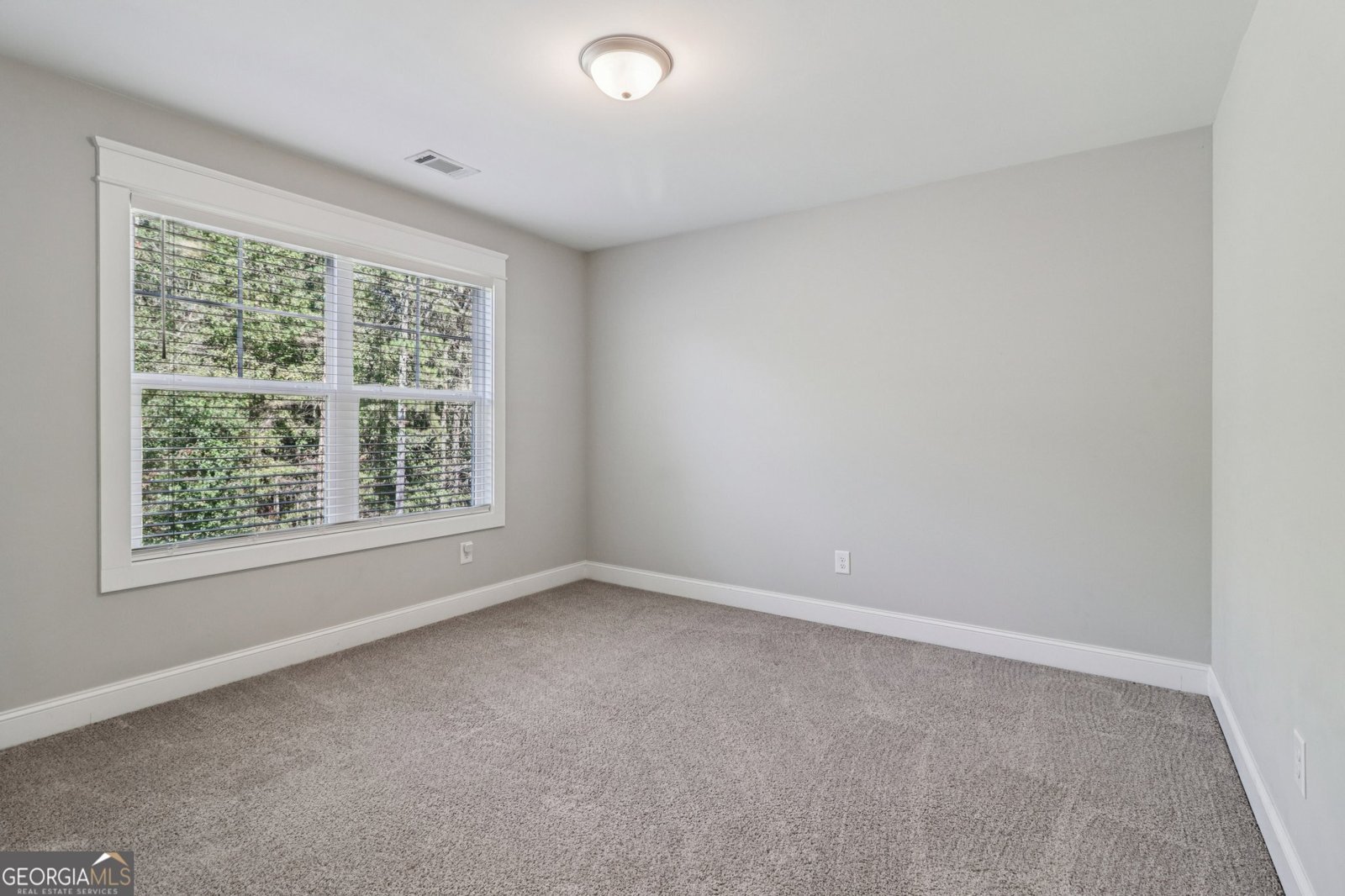 2519 Hog Liver Road Carrollton - 5