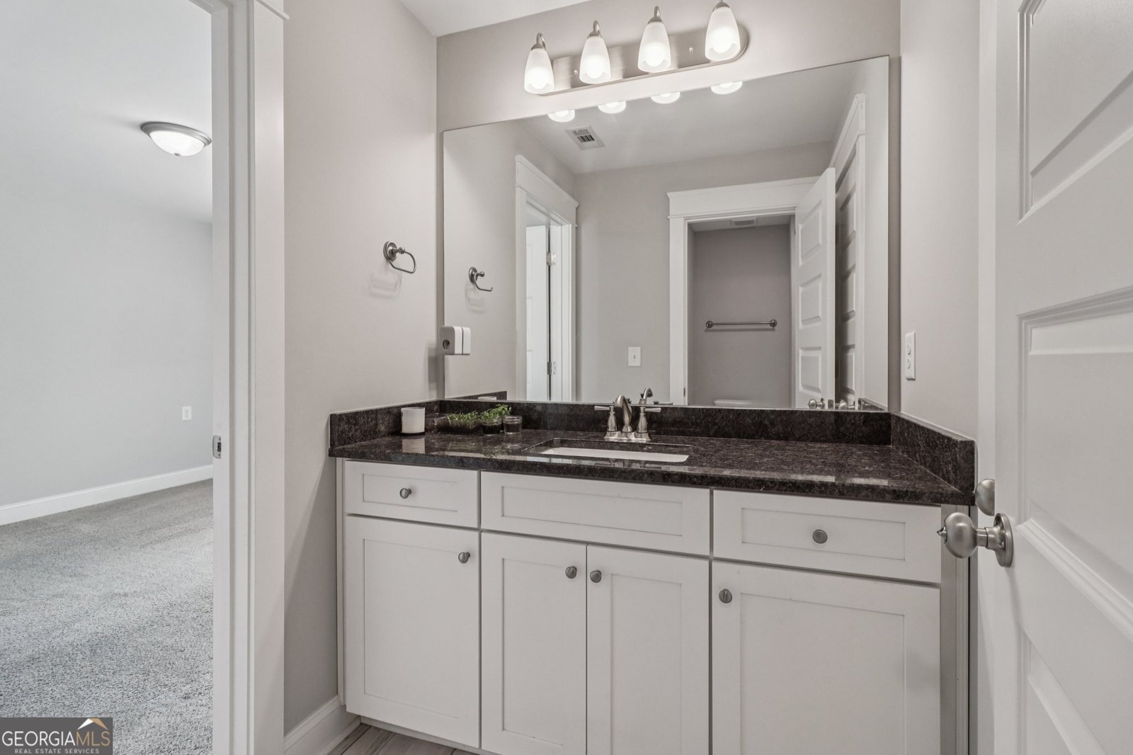 2519 Hog Liver Road Carrollton - 52