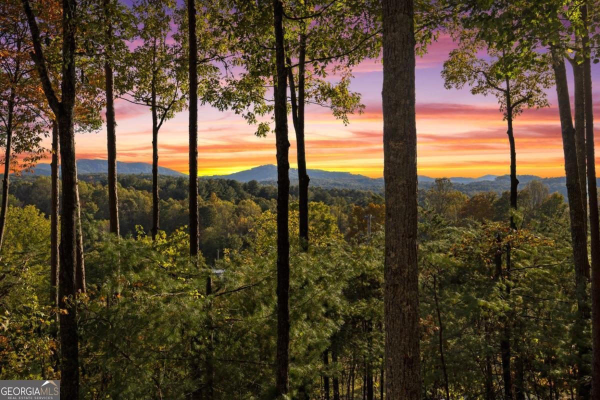 5240 Squirrel Hunting Road Morganton - 2