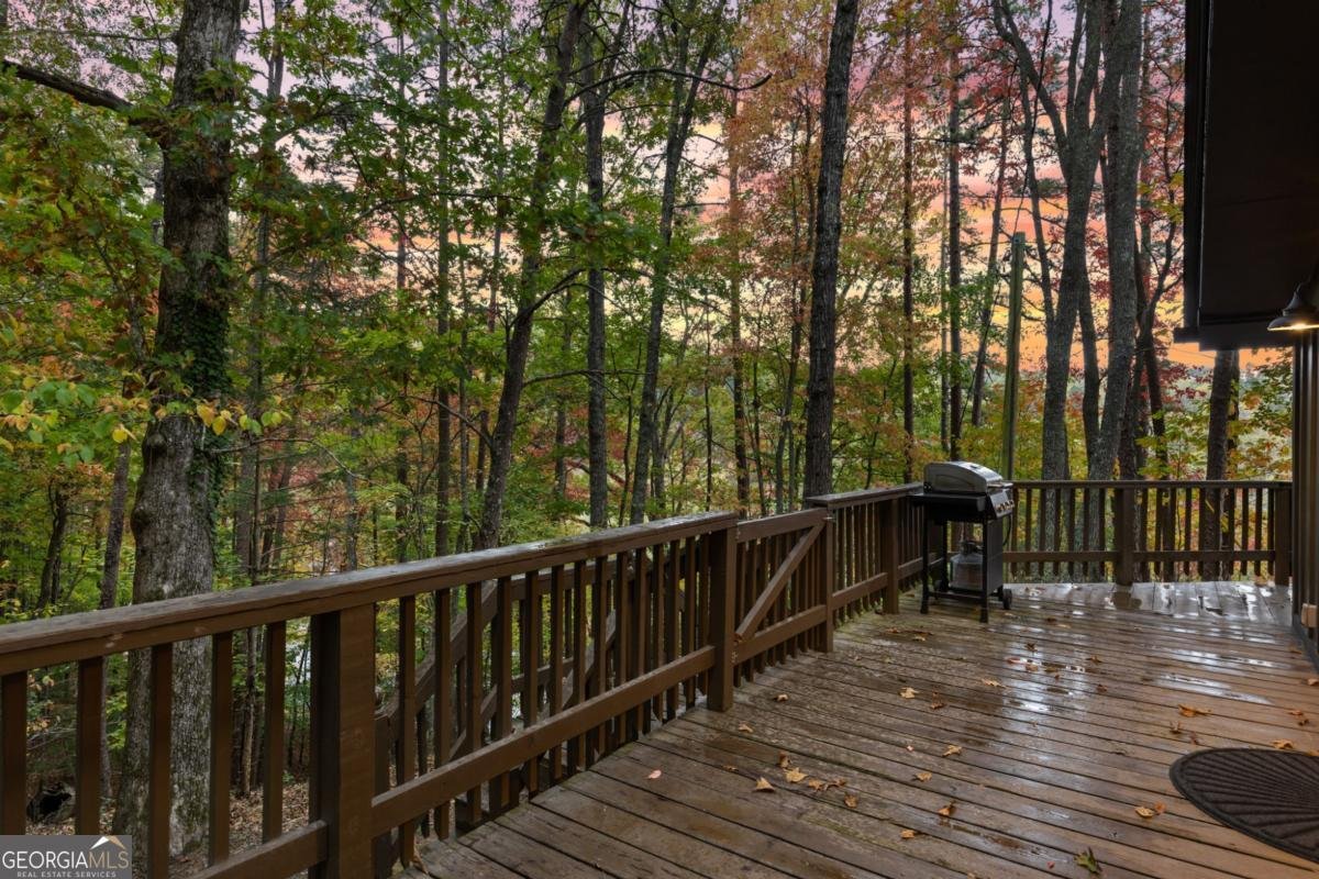 5240 Squirrel Hunting Road Morganton - 31