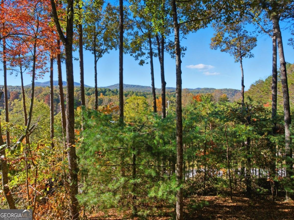 5240 Squirrel Hunting Road Morganton - 5