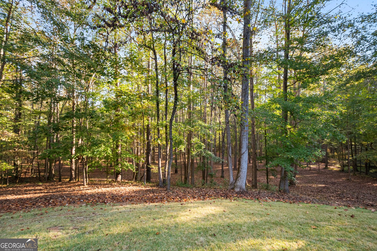 58 Drews Ridge Drive Newnan - 1