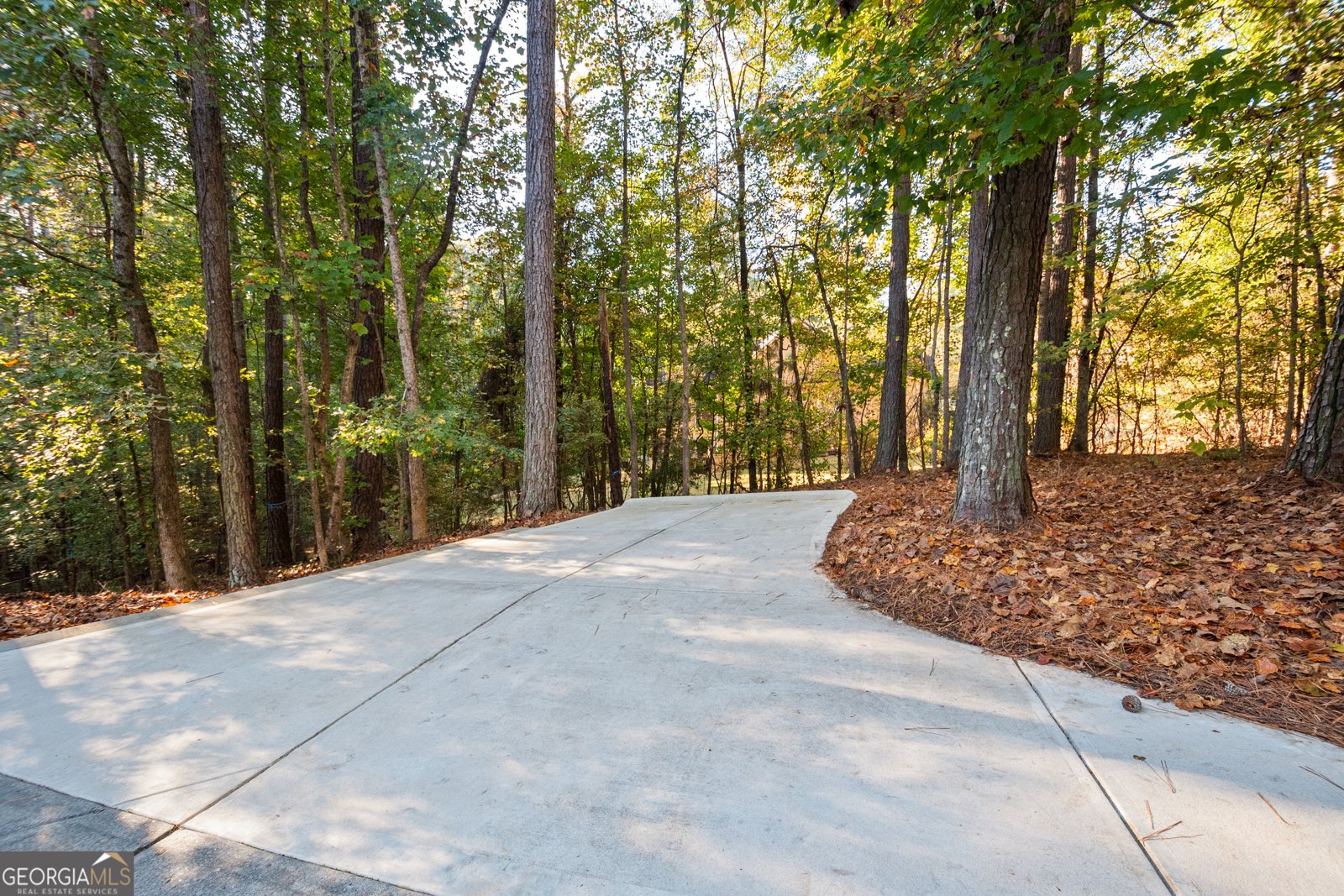 58 Drews Ridge Drive Newnan - 5