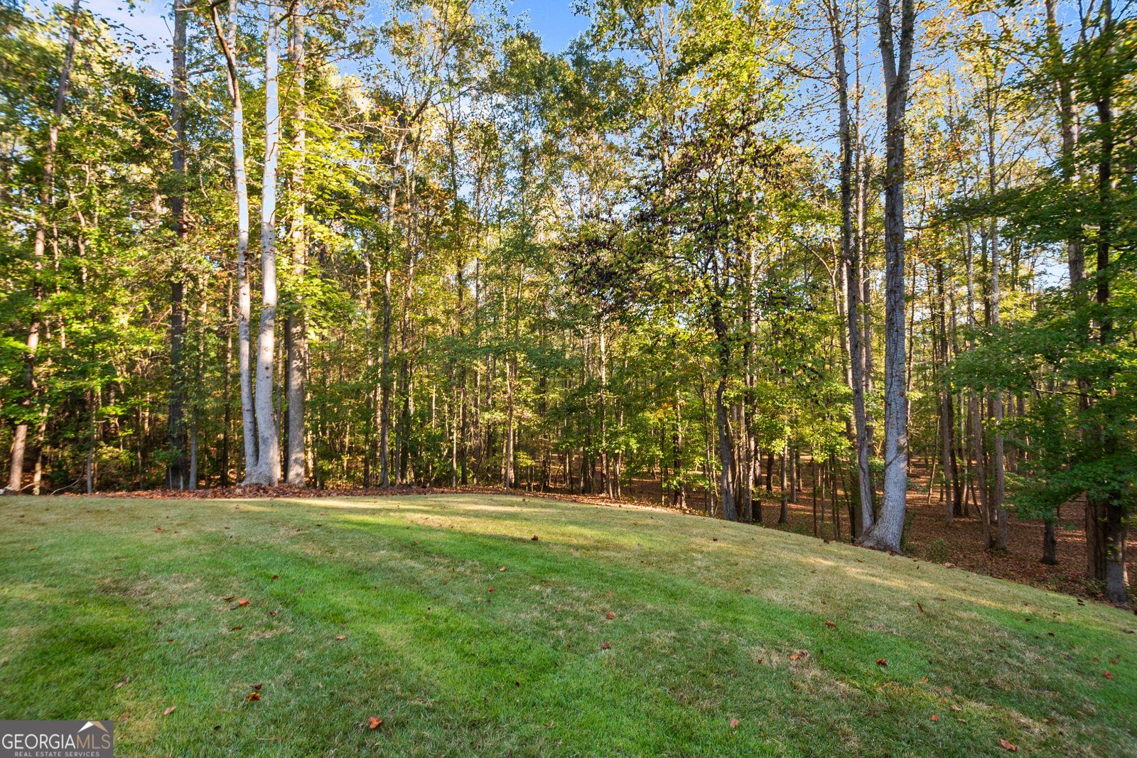 58 Drews Ridge Drive Newnan - 68