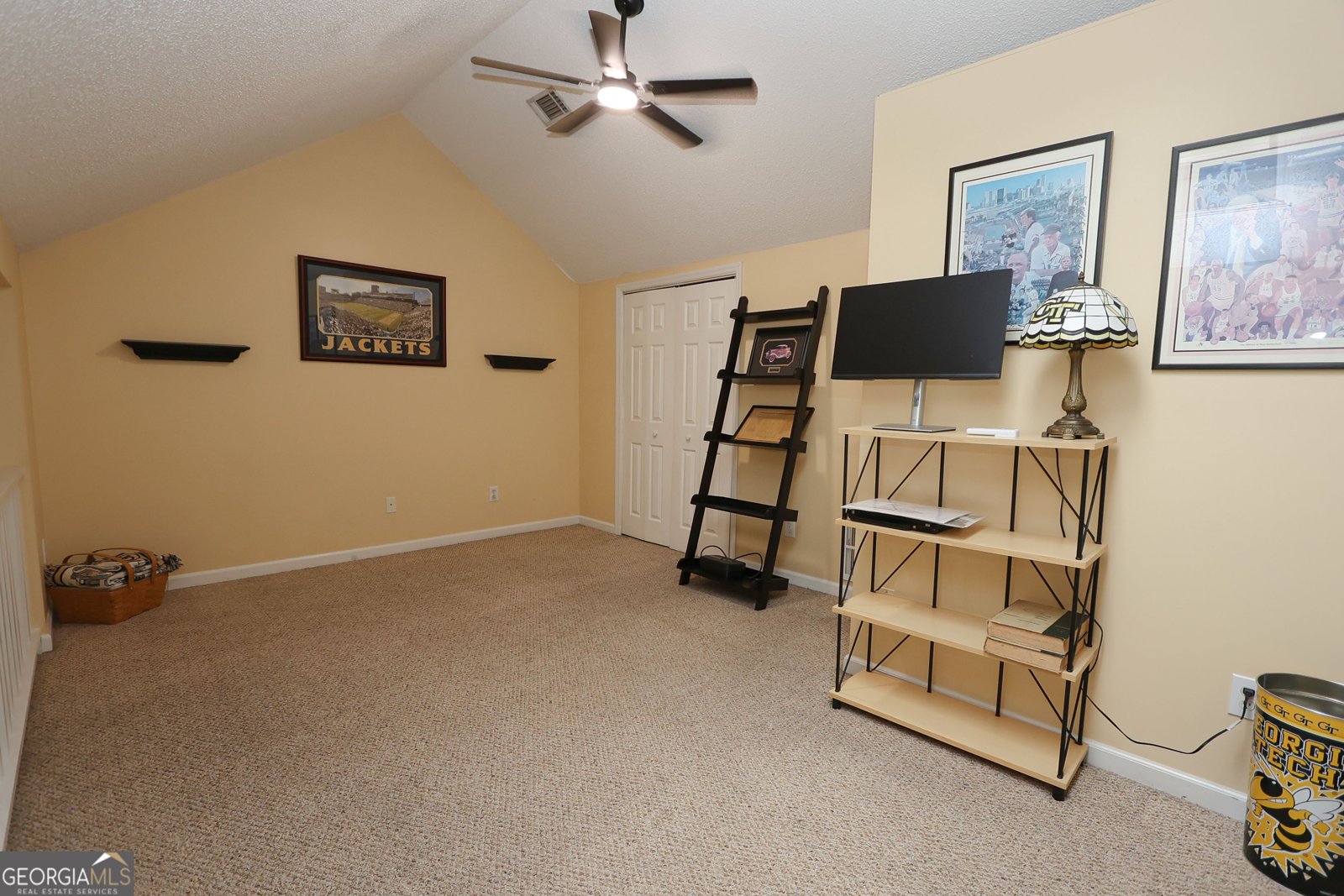 6170 Field Stone Drive Douglasville - 20