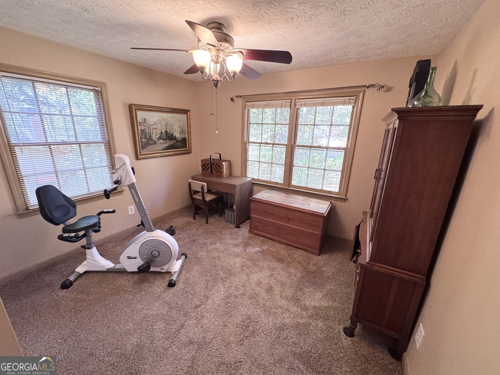 3841 Chattahoochee Drive Douglasville - 17