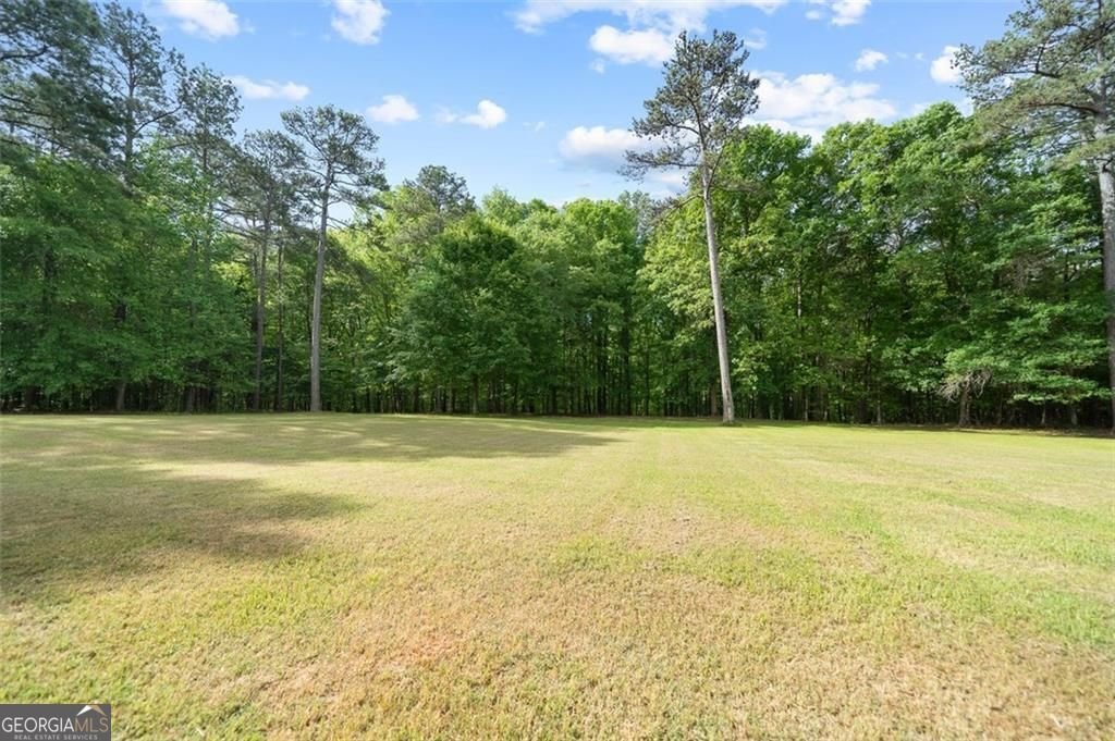 521 KLINE Road Shady Dale - 35