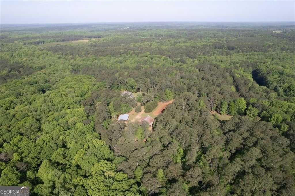 521 KLINE Road Shady Dale - 51