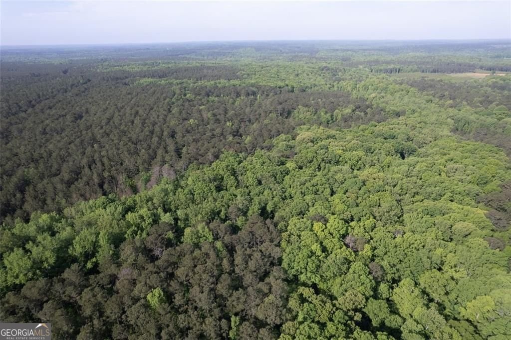 521 KLINE Road Shady Dale - 53