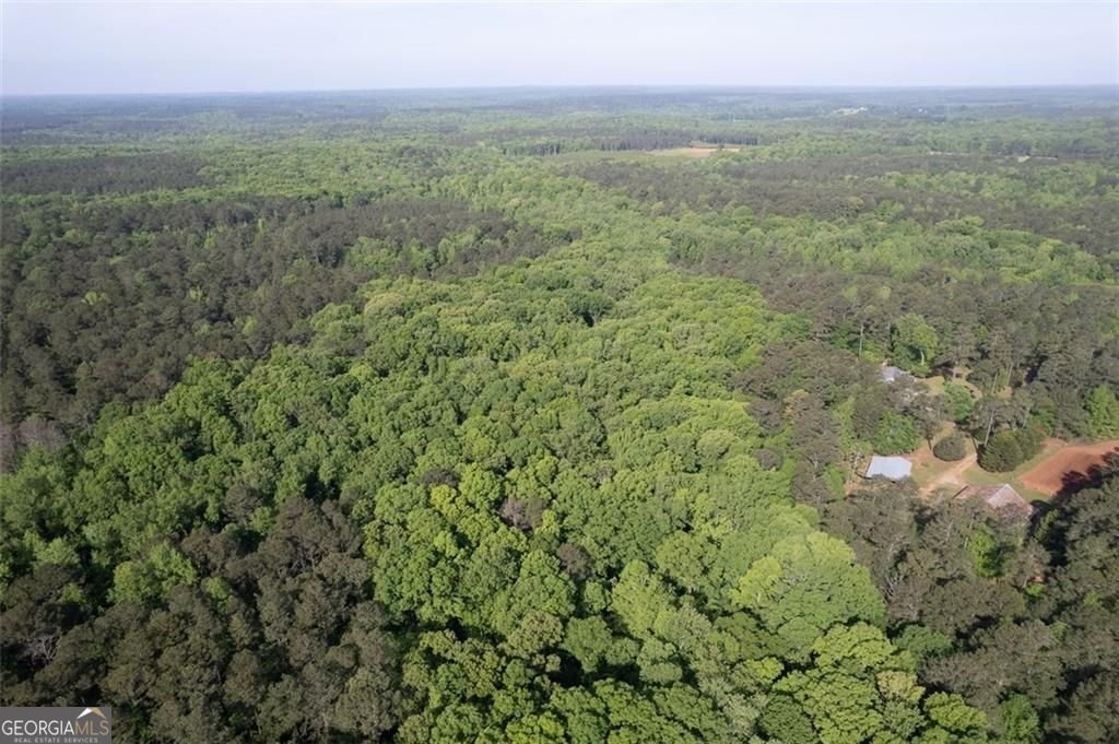 521 KLINE Road Shady Dale - 54