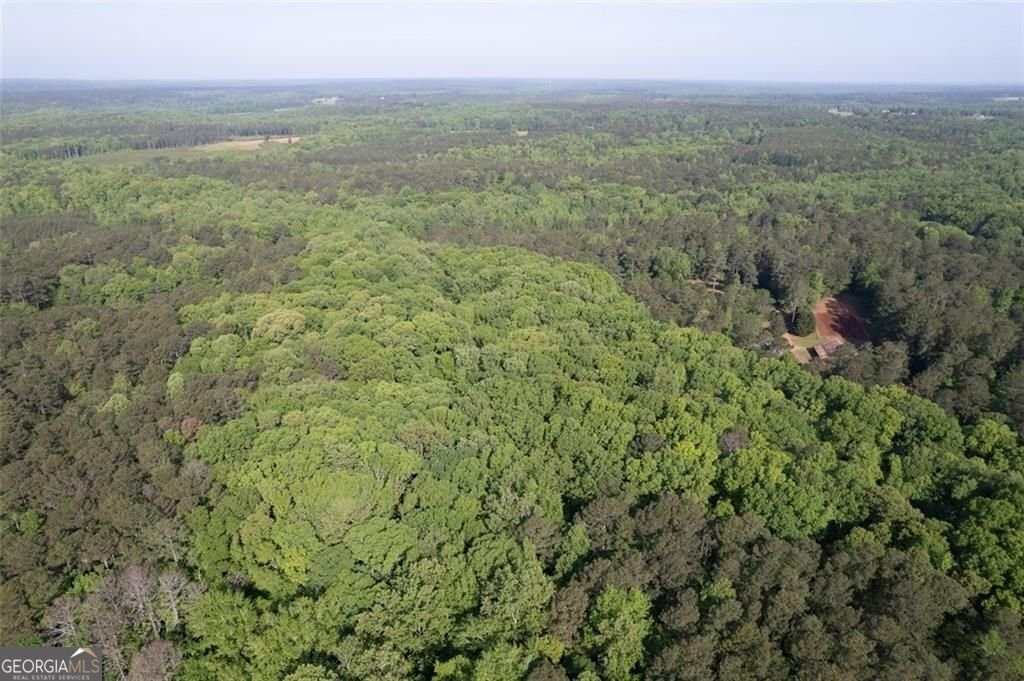 521 KLINE Road Shady Dale - 55