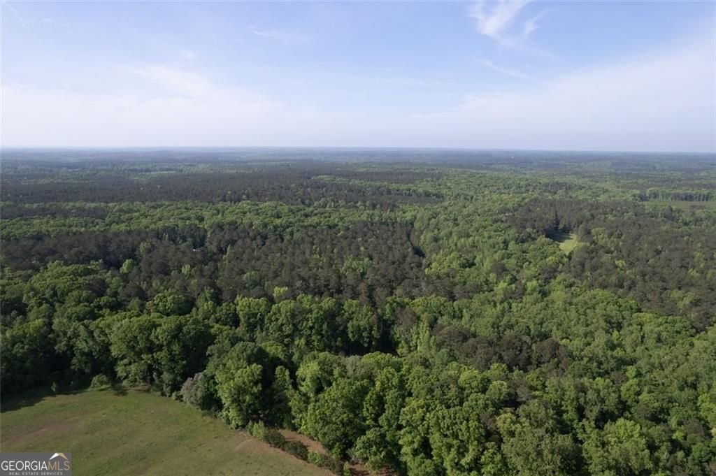 521 KLINE Road Shady Dale - 57