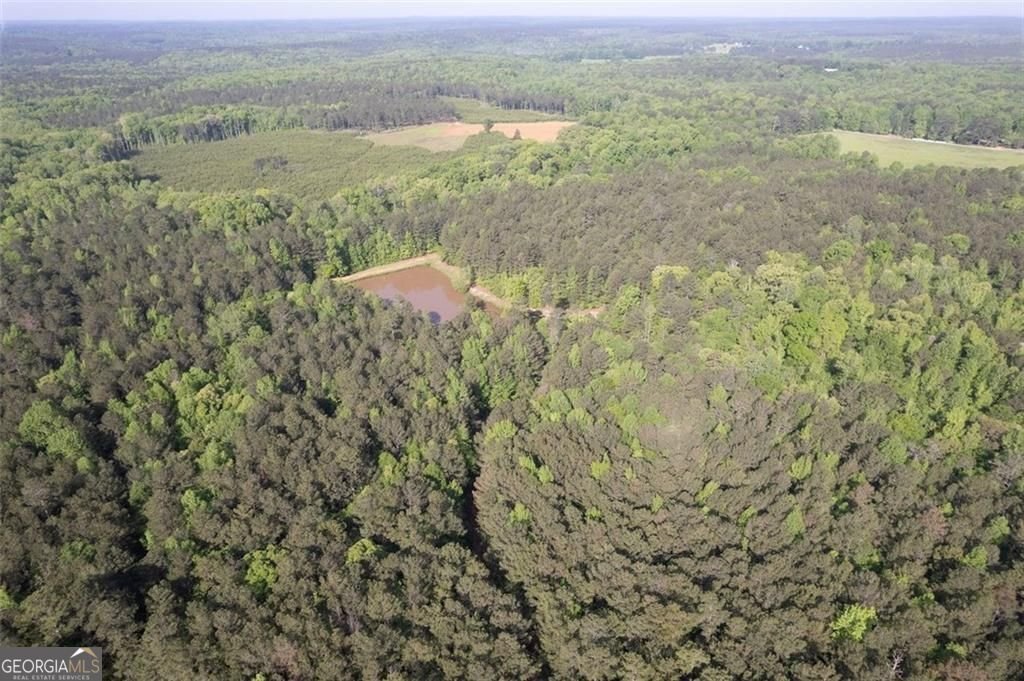 521 KLINE Road Shady Dale - 59