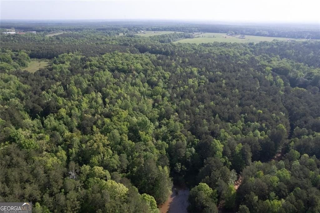 521 KLINE Road Shady Dale - 60