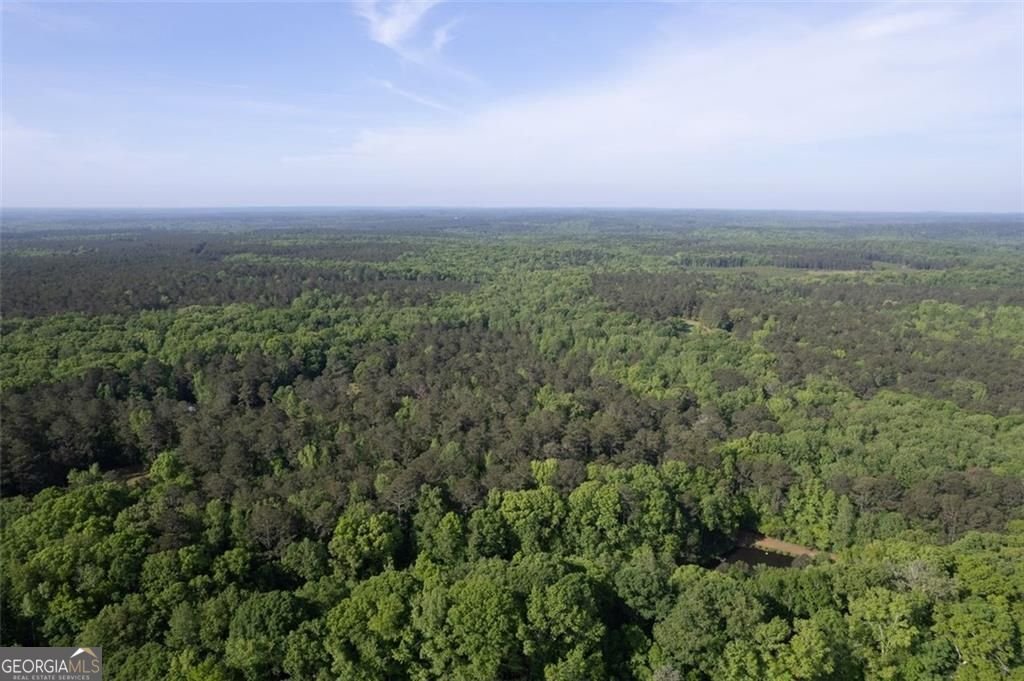 521 KLINE Road Shady Dale - 62