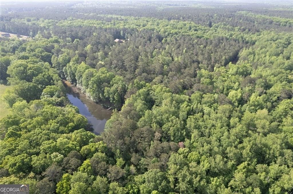 521 KLINE Road Shady Dale - 63