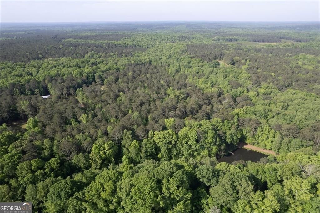 521 KLINE Road Shady Dale - 64