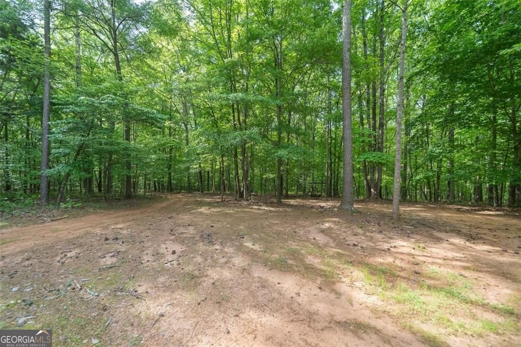 521 KLINE Road Shady Dale - 65