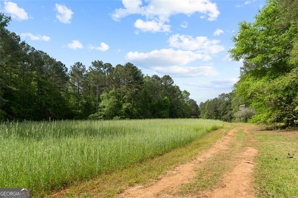 521 KLINE Road Shady Dale - 66