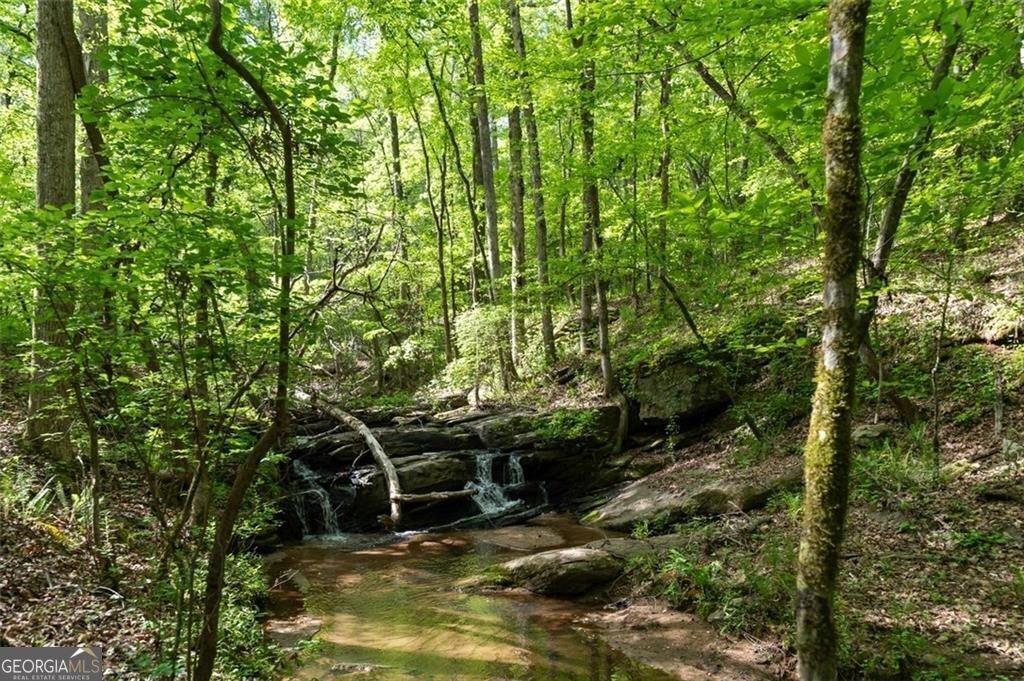 521 KLINE Road Shady Dale - 67