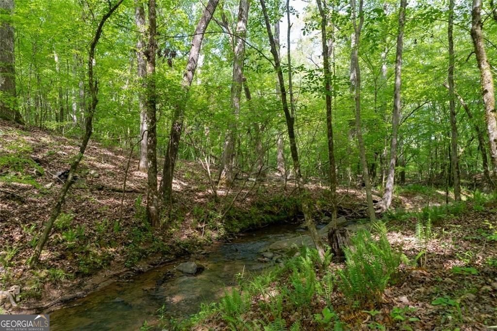 521 KLINE Road Shady Dale - 68