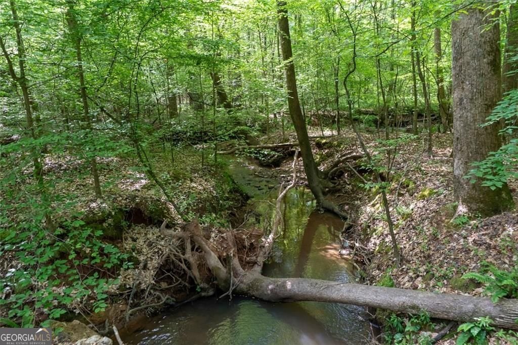 521 KLINE Road Shady Dale - 69