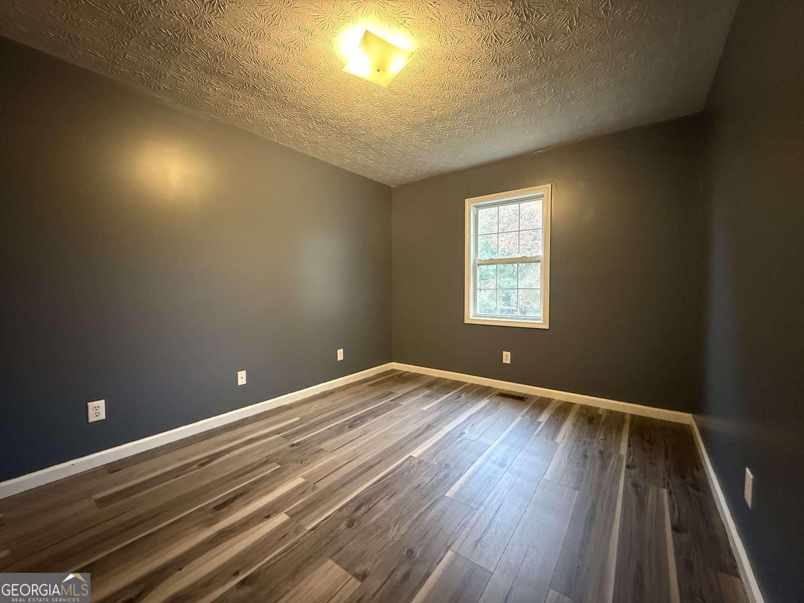 145 Goldust Avenue Clarkesville - 6
