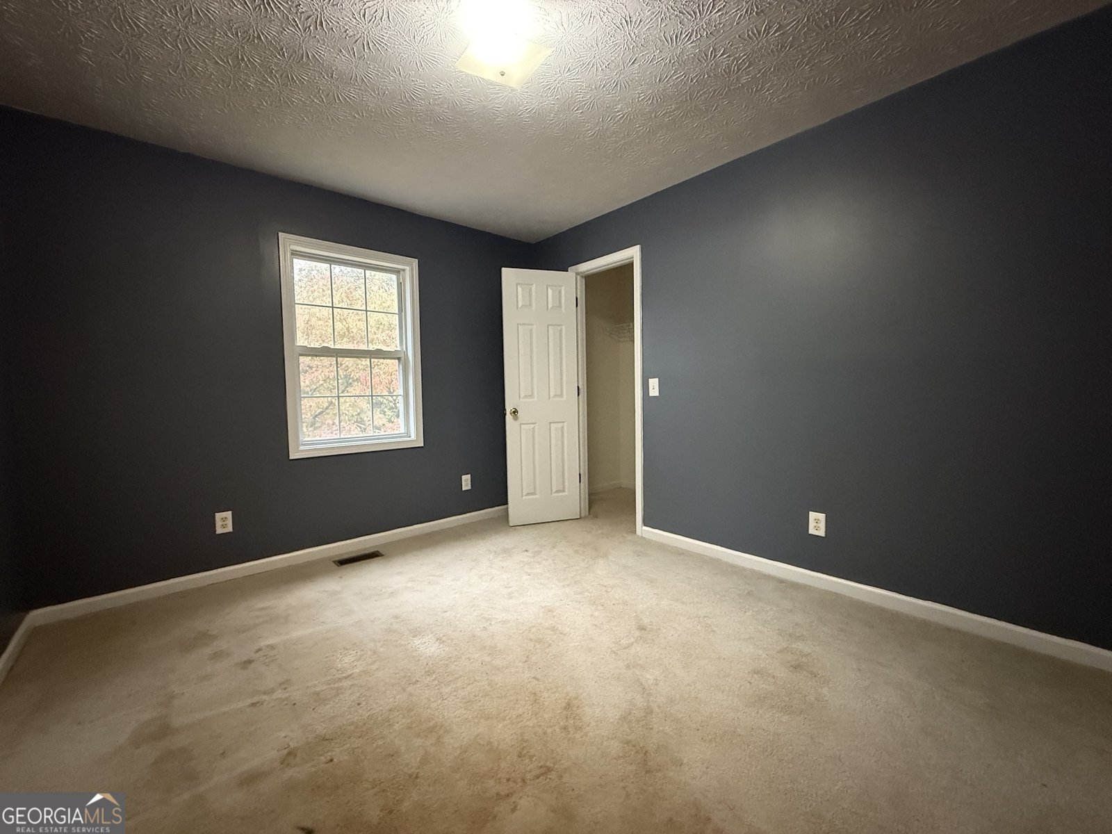 145 Goldust Avenue Clarkesville - 7