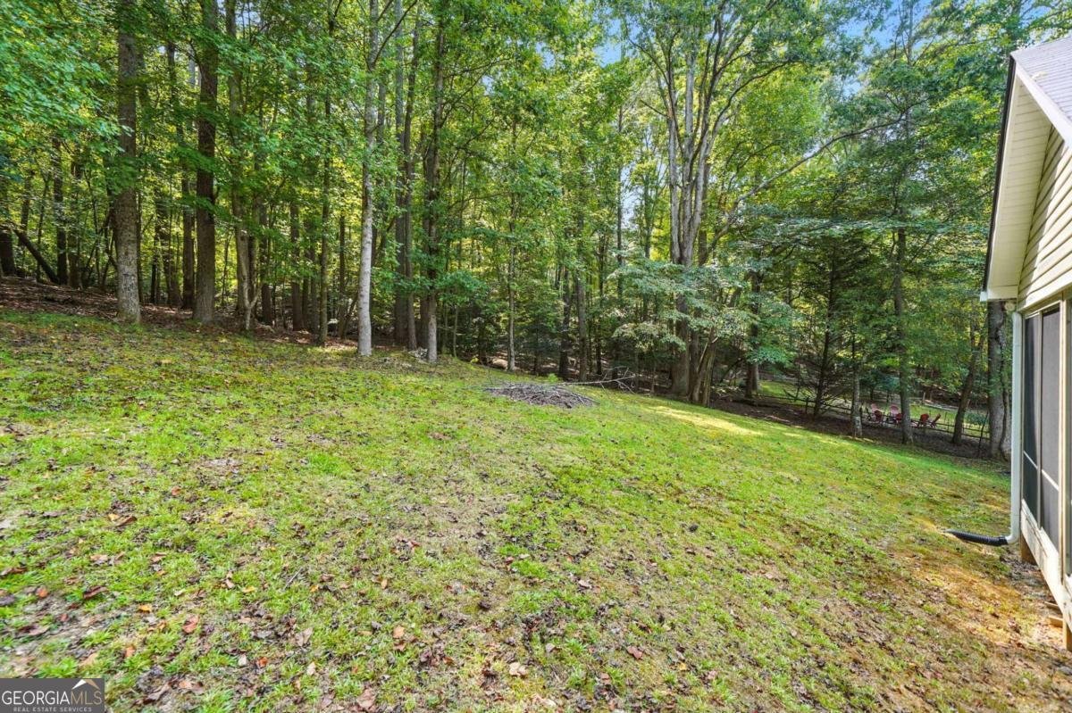 479 Villa Drive Ellijay - 37