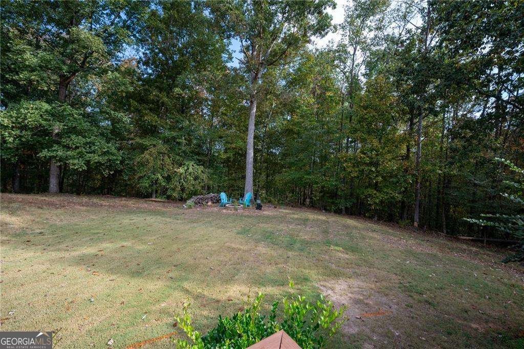 402 Mac Johnson Road Cartersville - 5