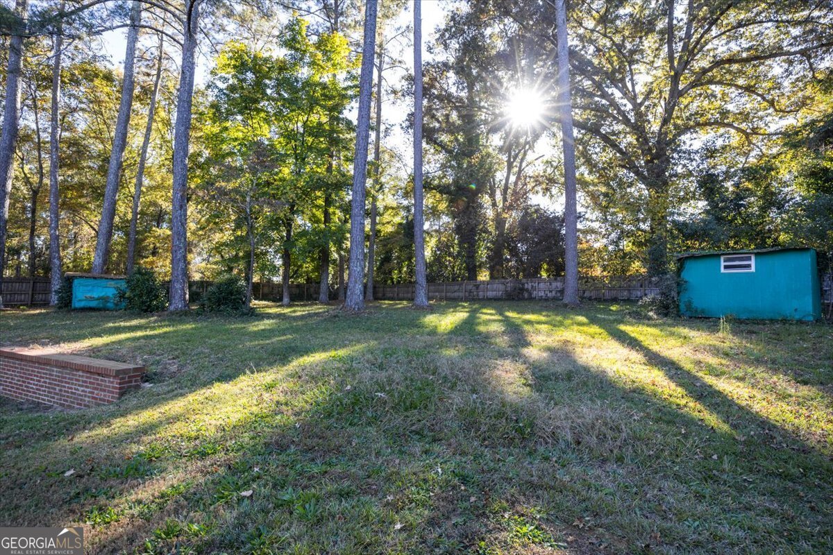 84 Hillsdale Road Forsyth - 10