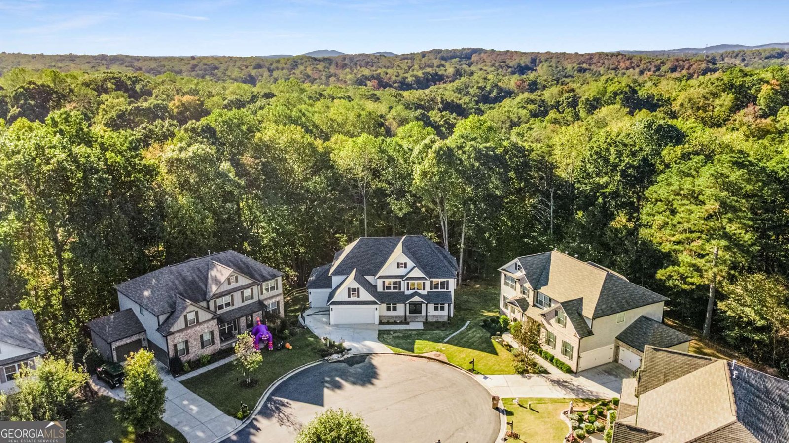 9135 Fox Trail Lane Gainesville - 50