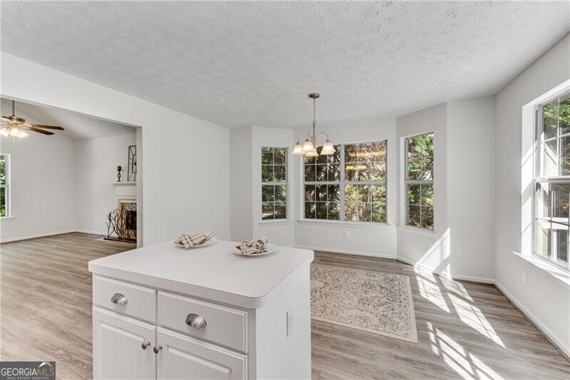 540 Alcovy Hills Drive Lawrenceville - 11