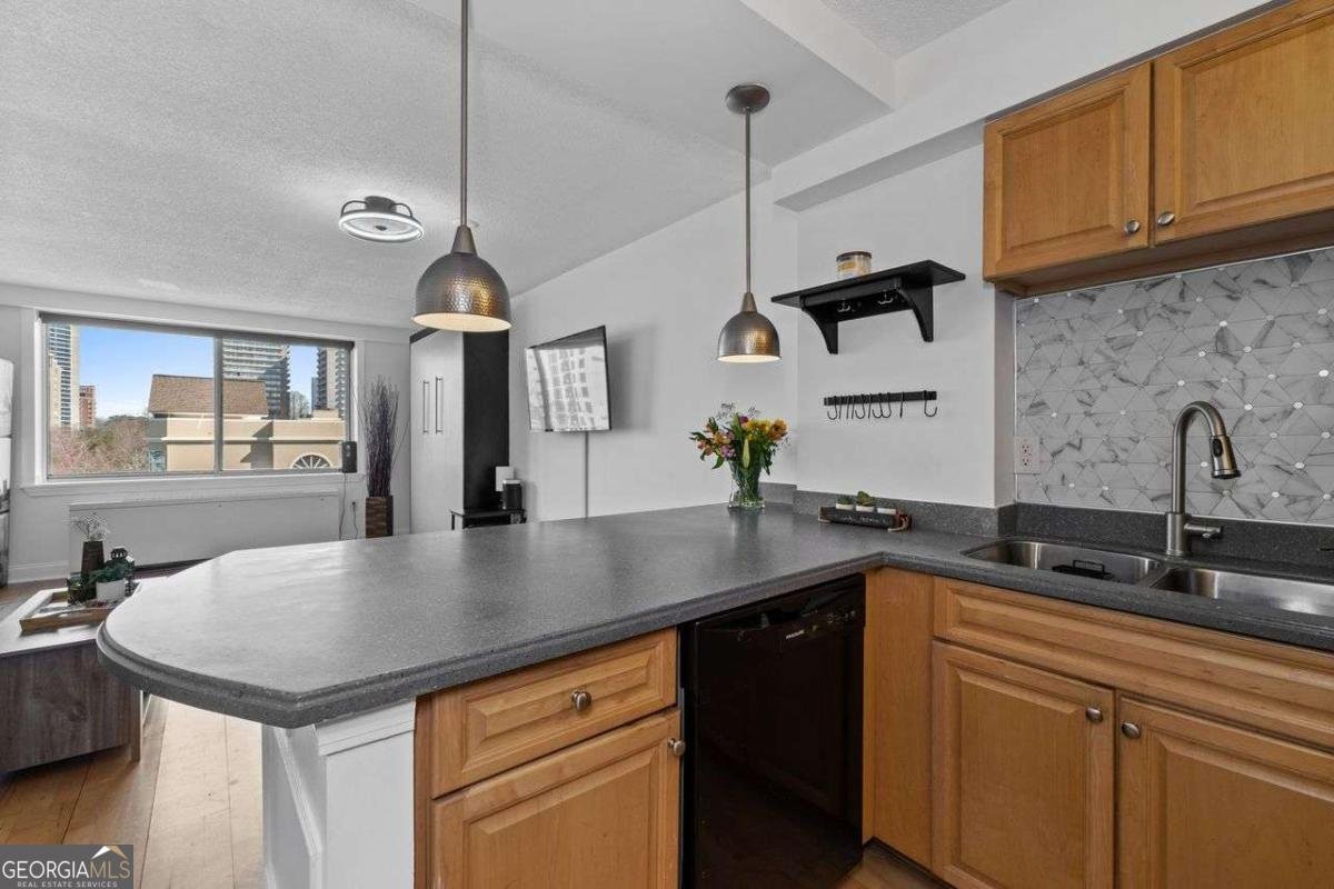 2479 PEACHTREE Road Atlanta - 14