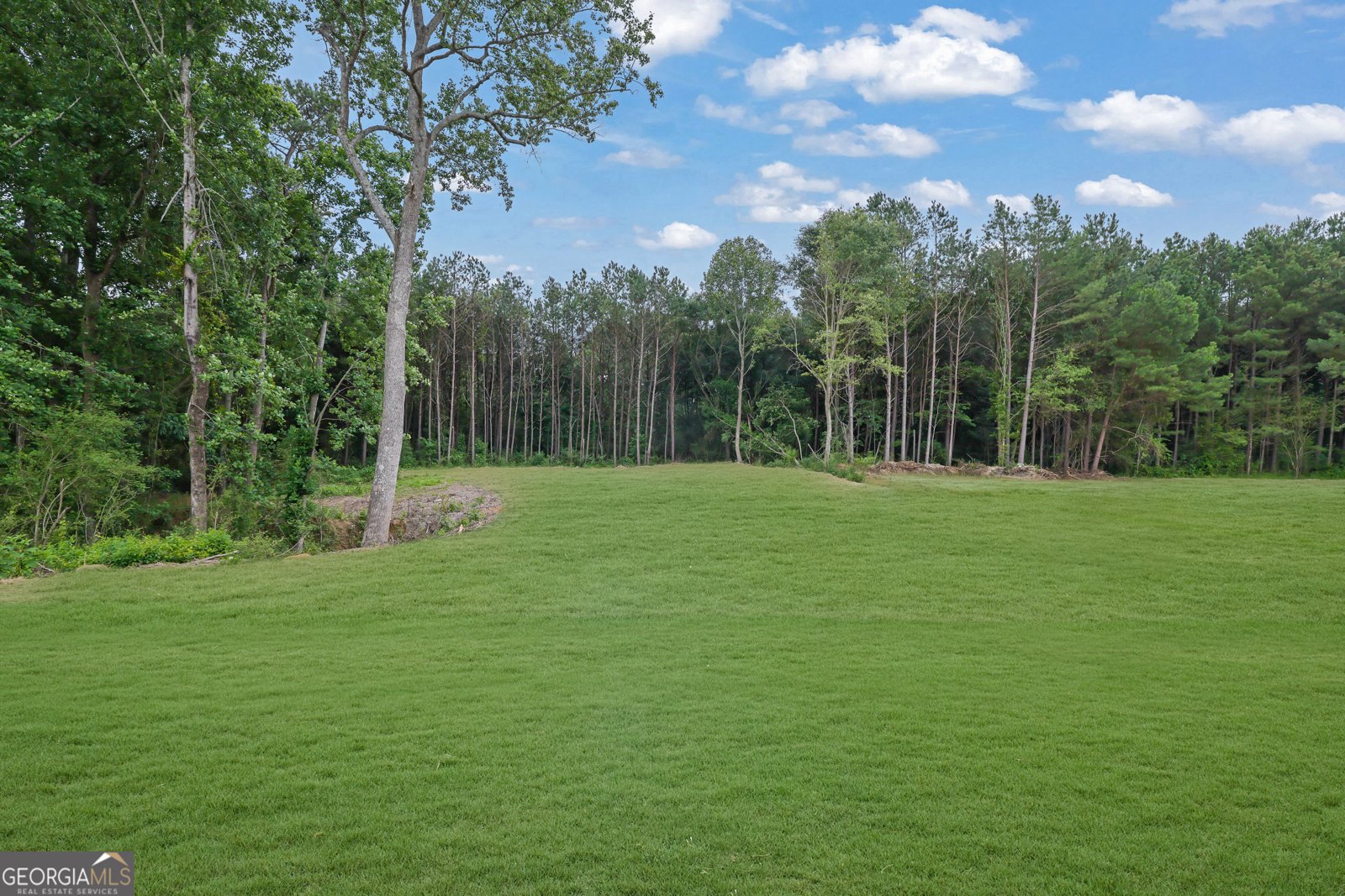 3893 Indian Shoals Road Bethlehem - 4