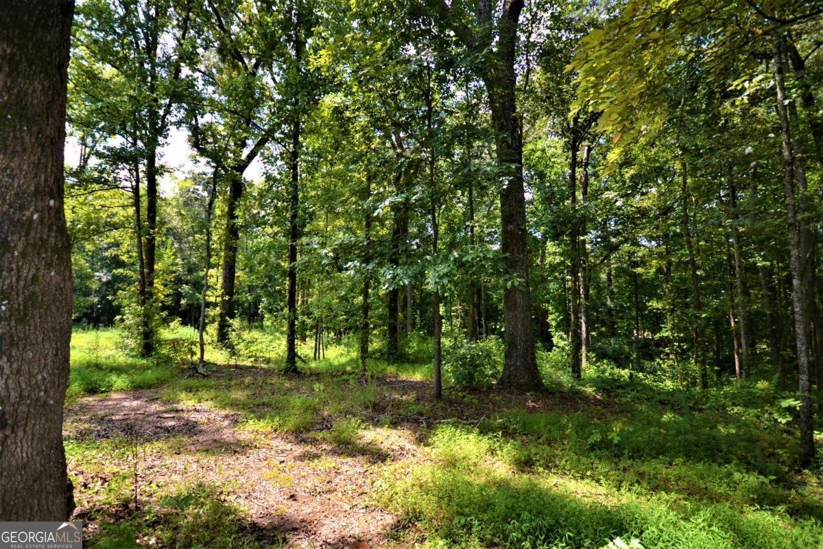 8713 Buchanan Highway Dallas - 60