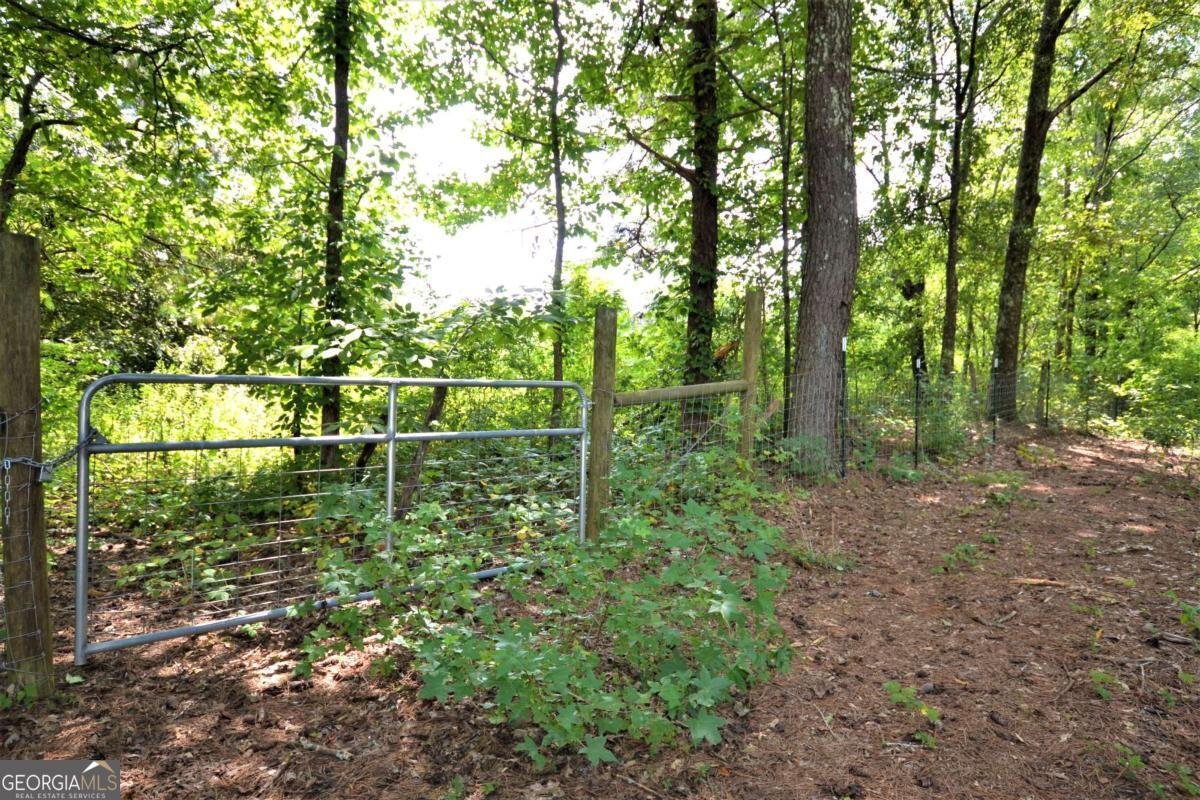 8713 Buchanan Highway Dallas - 61