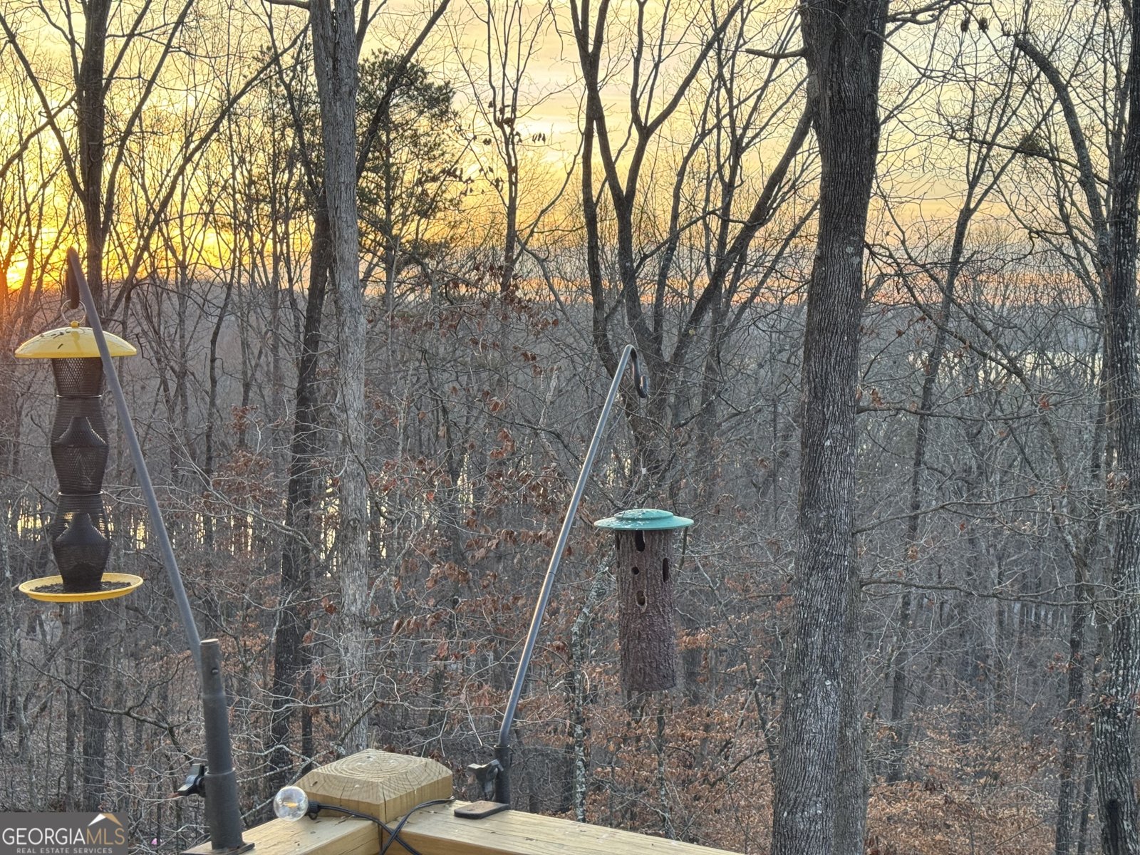 5234 Laurel Lane Gainesville - 55