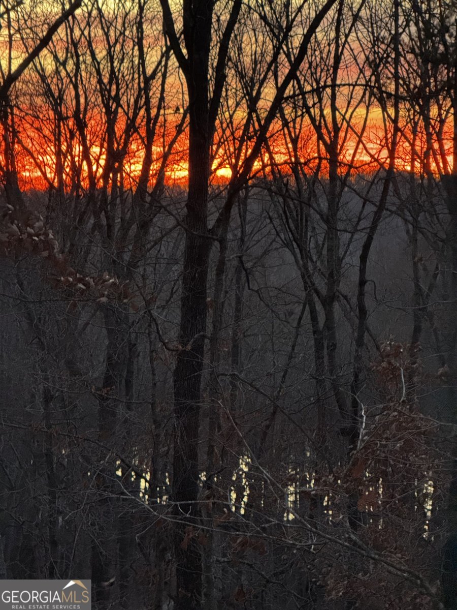 5234 Laurel Lane Gainesville - Photo 57