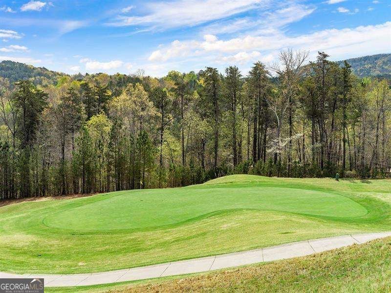 108 Cherokee Cove Waleska - 20