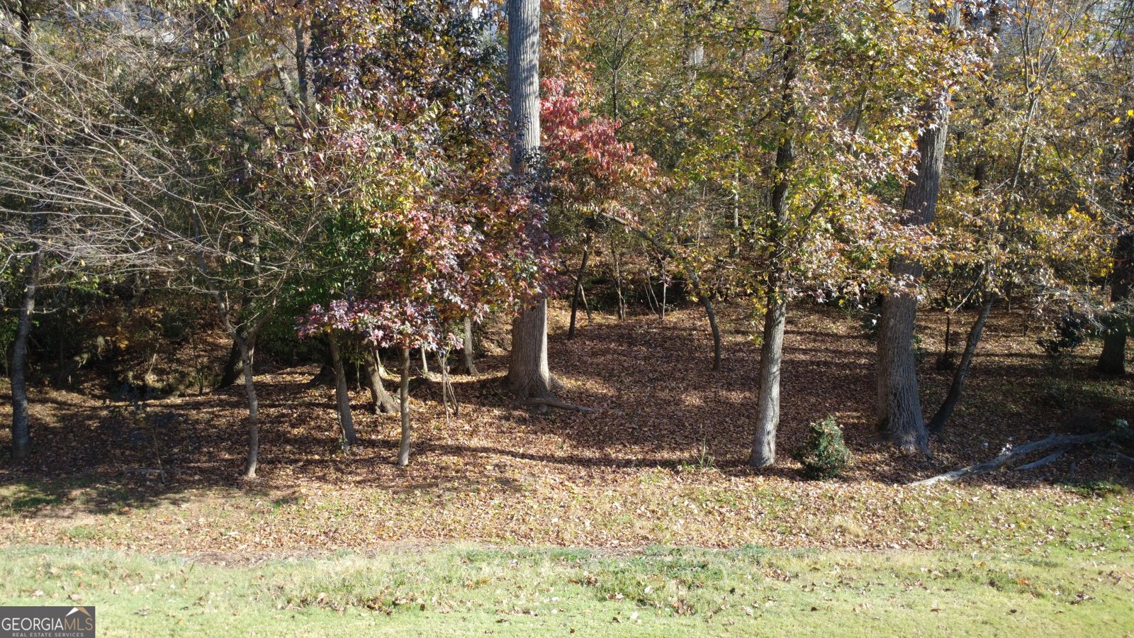 4380 Rockrose Green Way Gainesville - 55