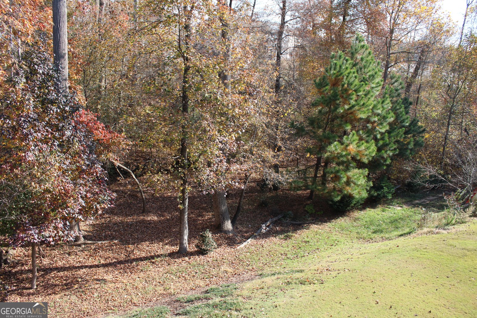 4380 Rockrose Green Way Gainesville - 56