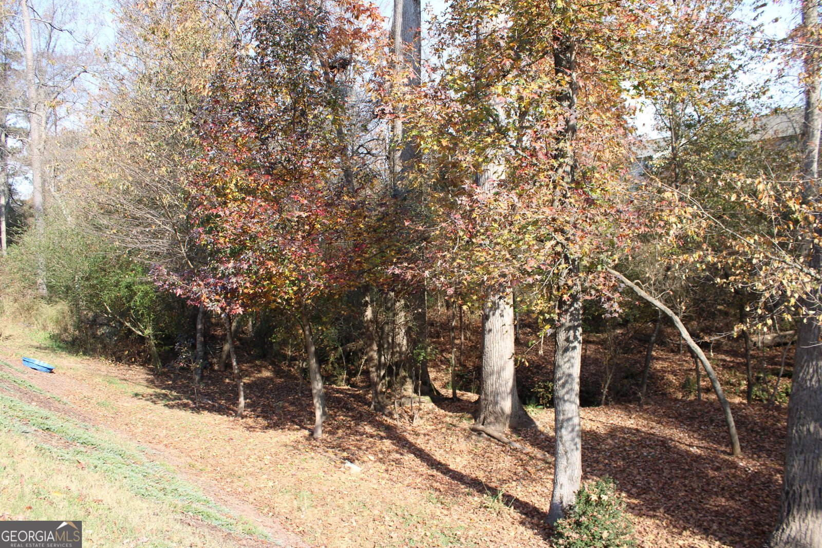 4380 Rockrose Green Way Gainesville - 57