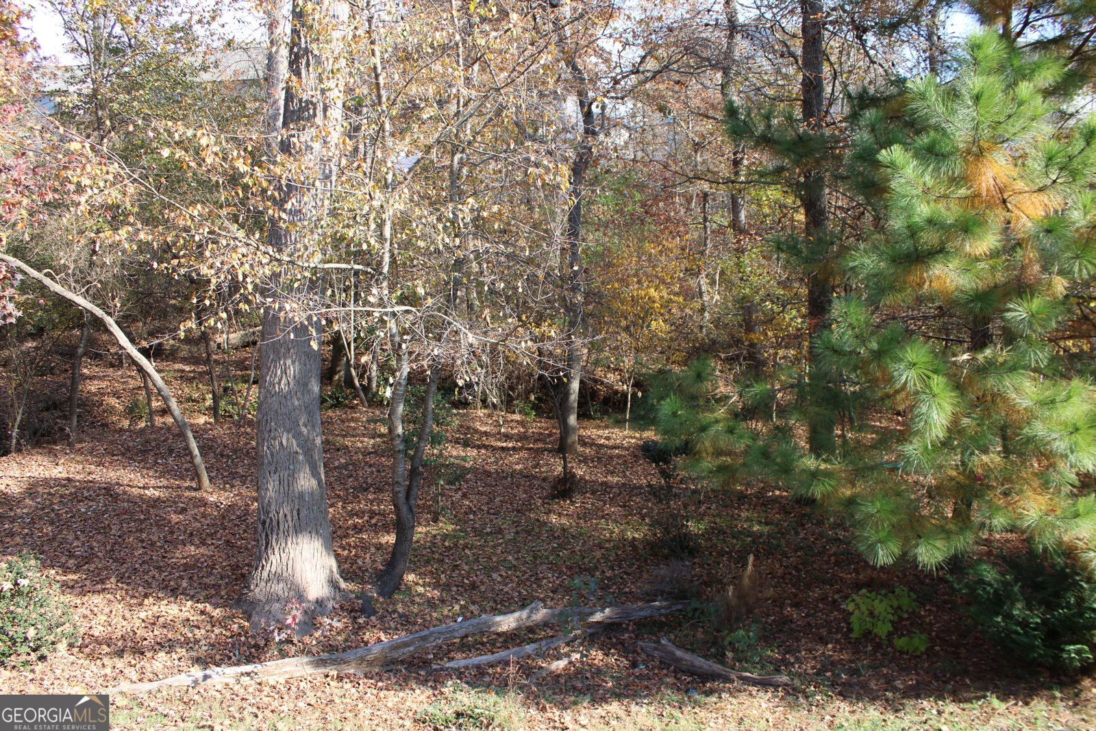 4380 Rockrose Green Way Gainesville - 59