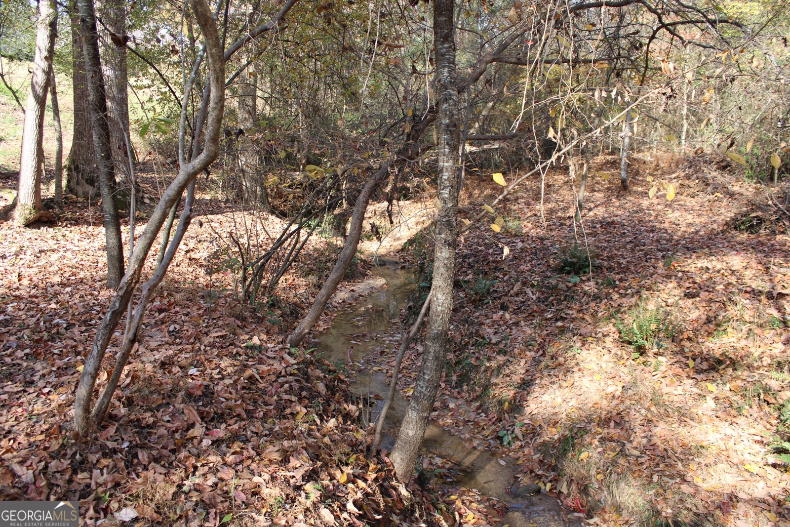 4380 Rockrose Green Way Gainesville - 60