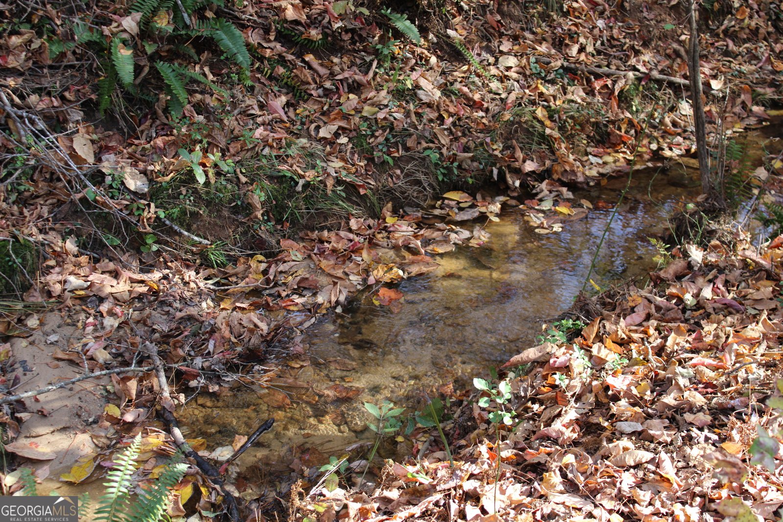 4380 Rockrose Green Way Gainesville - 61