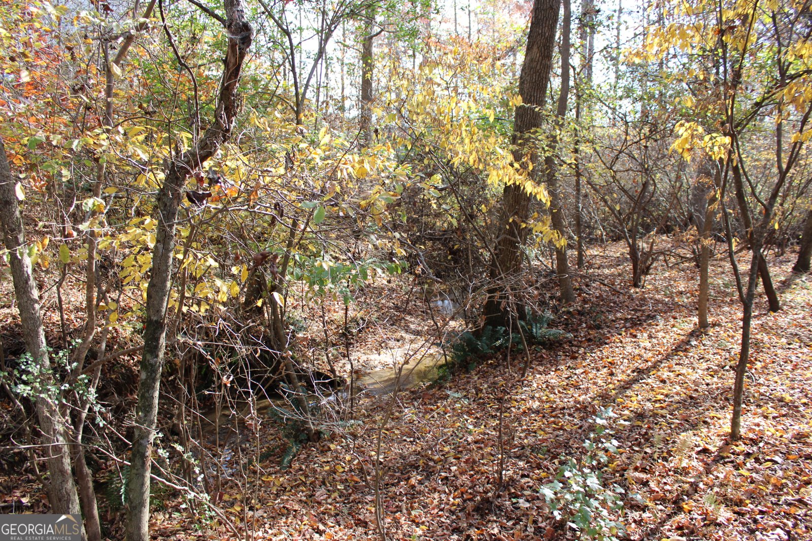 4380 Rockrose Green Way Gainesville - 62